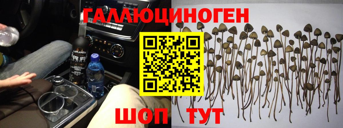 где продают наркотики  Вход с VPN  Карталы  Галлюциногенные грибы мицелий 